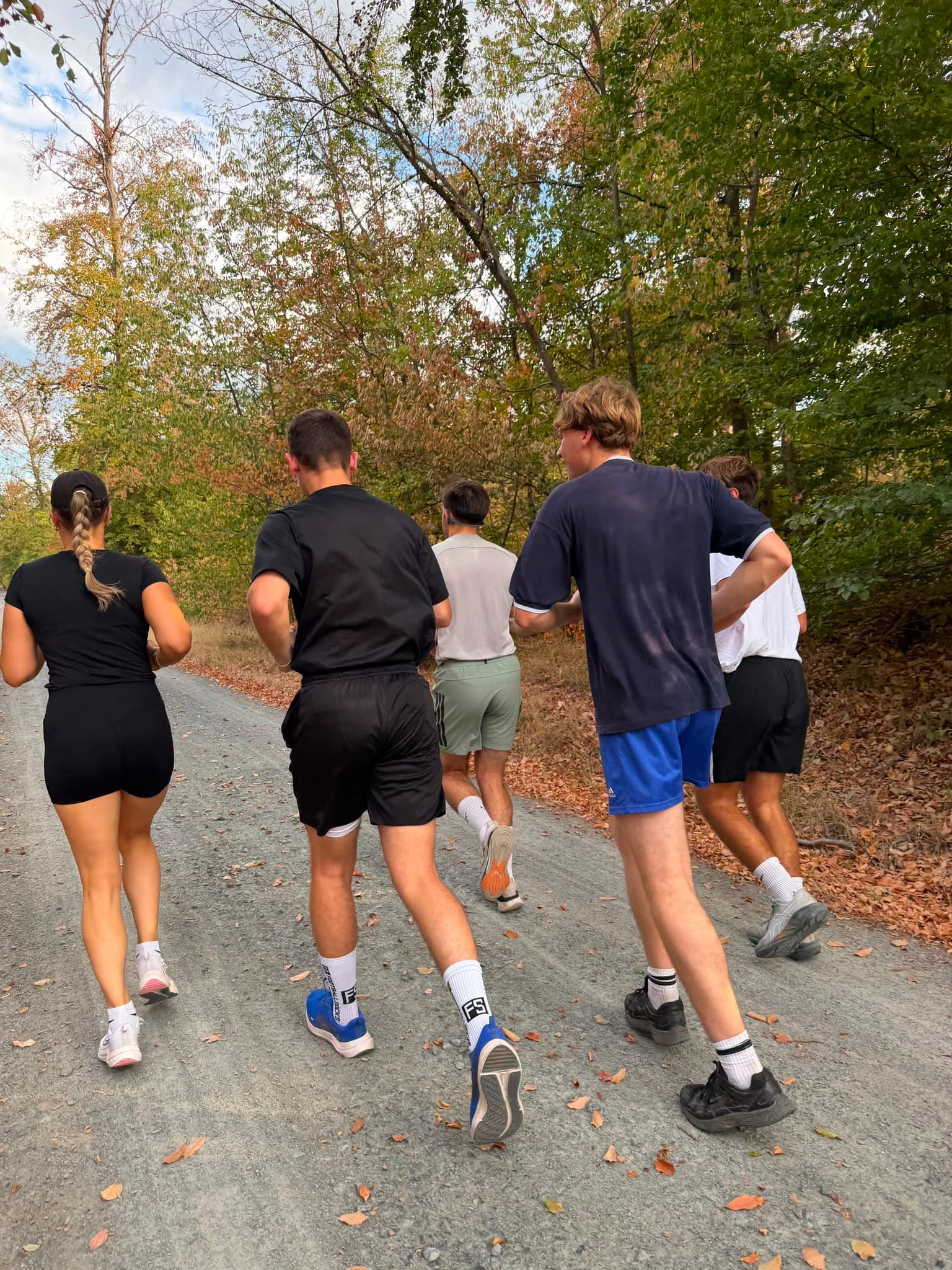 Abendlauf im Wald
